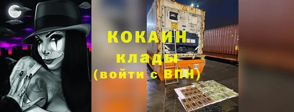 стафф Алзамай