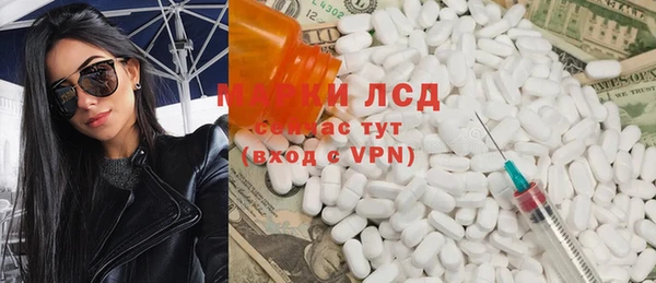 стафф Алзамай